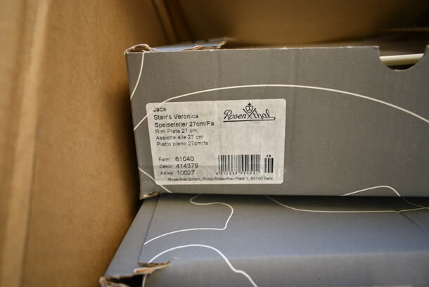 BRAND NEW SCRATCH AND DENT! Box of 4 Boxes of Rosenthal Jade Starr's Veronica Plates.  - Image 3 of 6