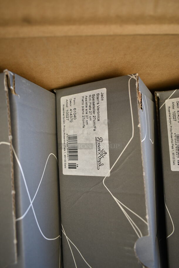 BRAND NEW SCRATCH AND DENT! Box of 4 Boxes of Rosenthal Jade Starr's Veronica Plates.  - Image 5 of 6