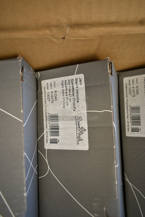 BRAND NEW SCRATCH AND DENT! Box of 4 Boxes of Rosenthal Jade Starr's Veronica Plates.  - Image 4 of 6