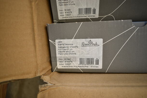 BRAND NEW SCRATCH AND DENT! Box of 4 Boxes of Rosenthal Jade Starr's Veronica Plates.  - Image 6 of 6