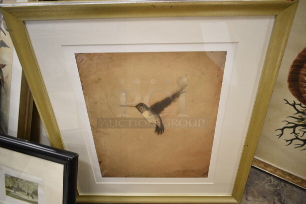 6 Framed Pictures Including Hummingbird, Shell, Designs. 6 Times Your Bid! - Image 2 of 10