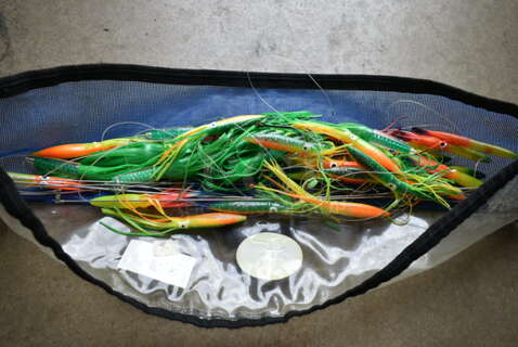 ALL ONE MONEY! Lot of Fishing Lures in Poly Bag