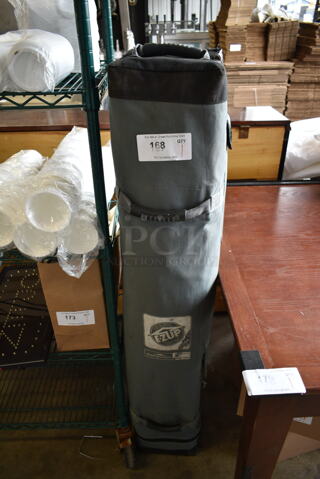 EZ Up Pop Up Canopy