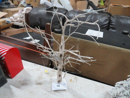 One Light Up Tree.