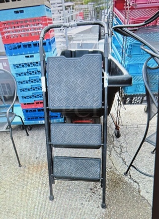 One 3 Step,  Step Ladder.