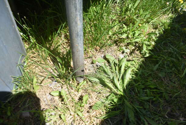 Stainless Steel 3 Bay Sink with Faucet on Legs - Image 5 of 5