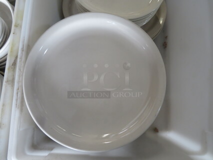 10 Inch Plate. 10XBID