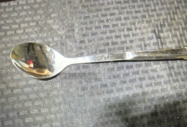 Stainless Steel Spoon. 6XBID