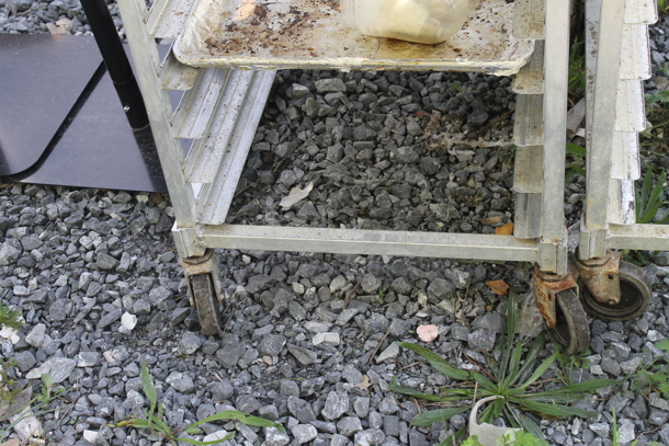 Metal Commercial Pan Transport Rack w/ 9 Metal Baking Pans on Commercial Casters. - Image 2 of 2