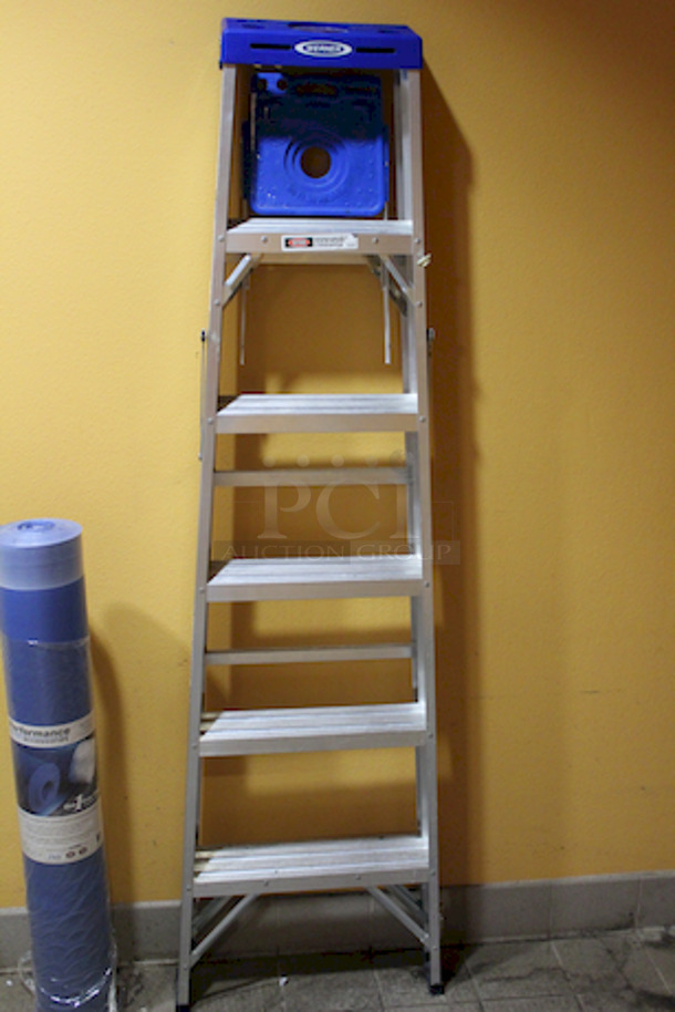 Werner 6' Ladder 