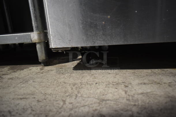 2020 Atosa MGF8403GR Stainless Steel Commercial 2 Door Undercounter Cooler on Commercial Casters. 115 Volts, 1 Phase. Tested and Working! - Image 8 of 8