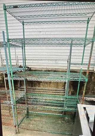 One Green Coated Metro Shelf With 5 Shelves. 48X24X86