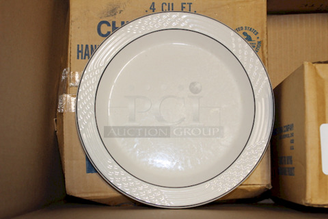 ALL FOR ONE!! 80 Sterling China 9-3/4" Plates