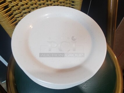 12" Dinner Plate!