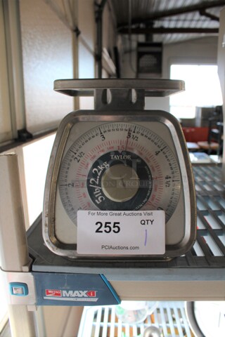 Taylor Metal Countertop Food Portioning Scale. 7x9x9