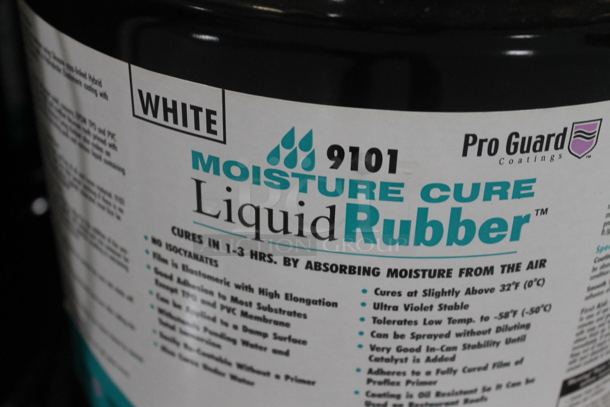 ALL ONE MONEY! PALLET LOT of ProGuard Moisture Cure Liquid Rubber Buckets. BUYER MUST REMOVE. - Image 4 of 4