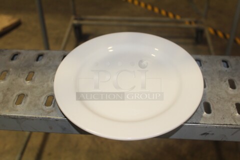 NEW IN BOX! 2 Boxes (24 Count Each) Homer Laughlin 9 5/8" Plates. 48X Your Bid! 