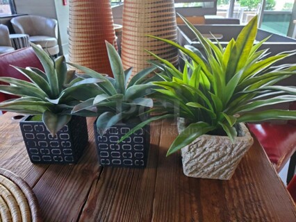 3-Piece Artificial mini Succulent Set in Square Pots!