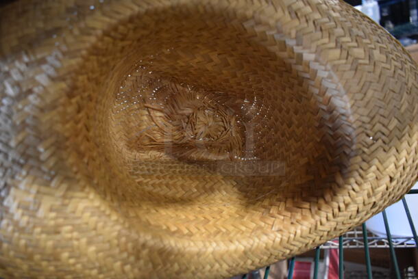 ALL ONE MONEY! Lot of 5 Hats. - Image 5 of 6