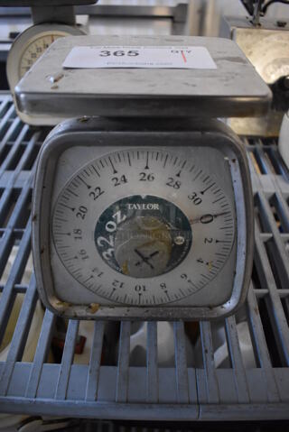 Taylor Metal Countertop Food Portioning Scale. 7x7x9