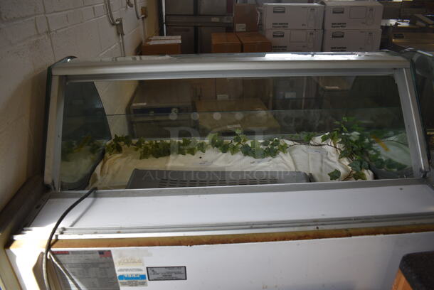 Arneg Metal Commercial Floor Style Deli Display Case Merchandiser. 115 Volts, 1 Phase. 53x45.5x47. Tested and Working! - Image 5 of 7