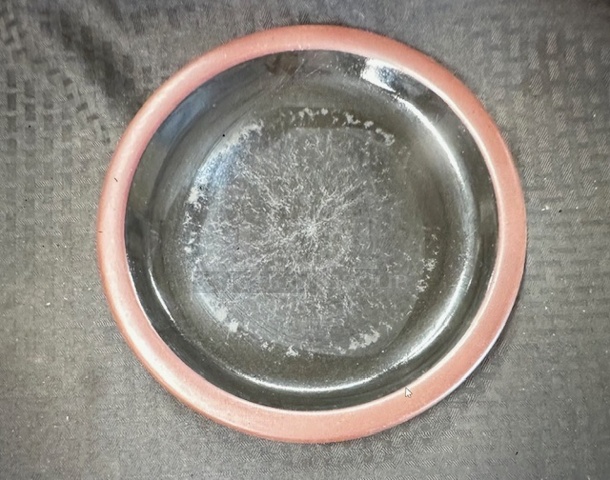 10 Inch Plate. 10XBID - Image 1 of 1