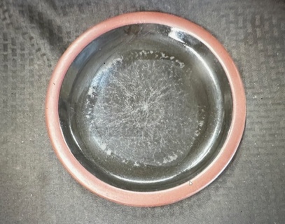 10 Inch Plate. 10XBID