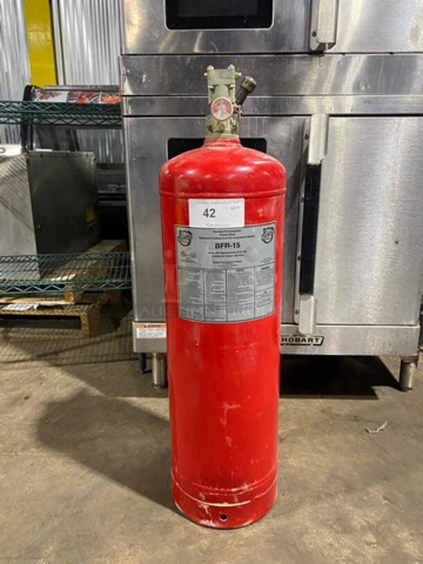 Buckeye Commercial Fire Extinguisher! NOT AVAILABLE FOR SHIPPING! - Image 1 of 6
