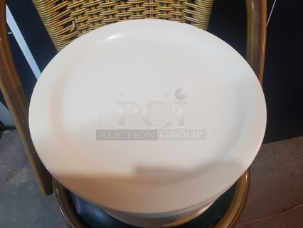 12" Dinner Plate!