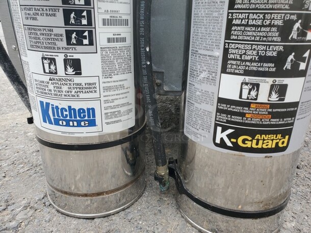 Fire Extinguisher BIDX2 - Image 5 of 5