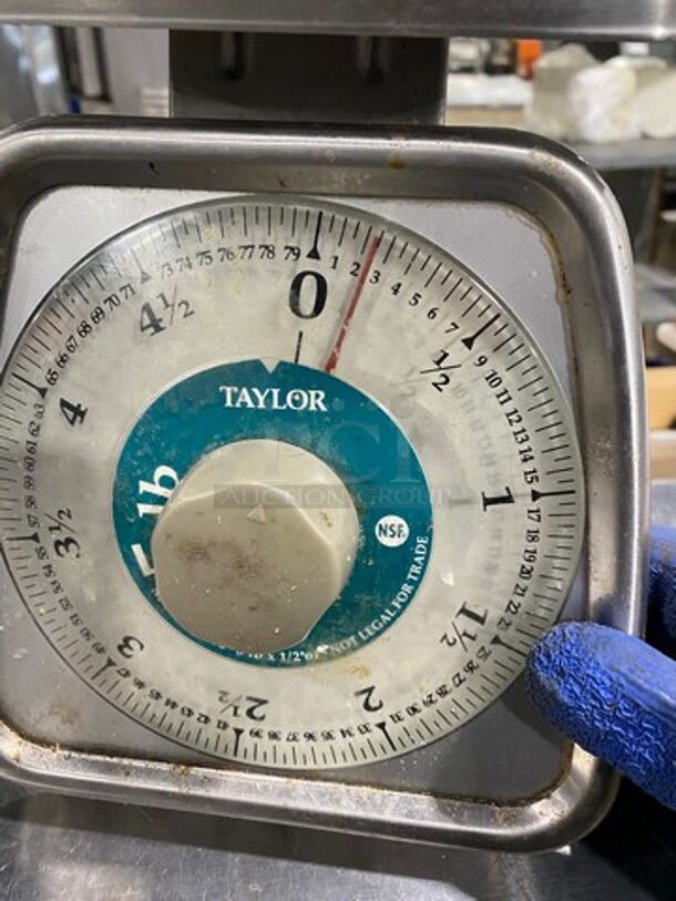 Taylor Countertop Food Scale! Measures Up To 5LBS! Stainless Steel Body! - Image 4 of 7