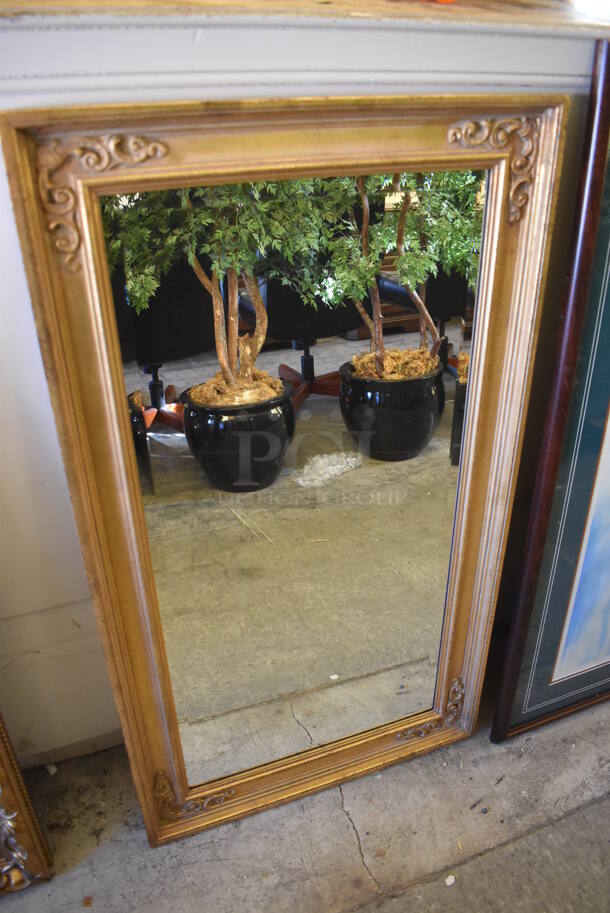 Mirror in Gold Colored Donelle Frame