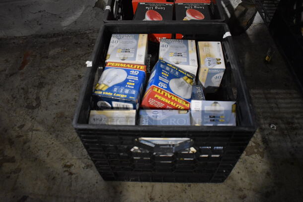 ALL ONE MONEY! Tier Lot of Various Warming Lamp Lightbulbs - Image 3 of 9