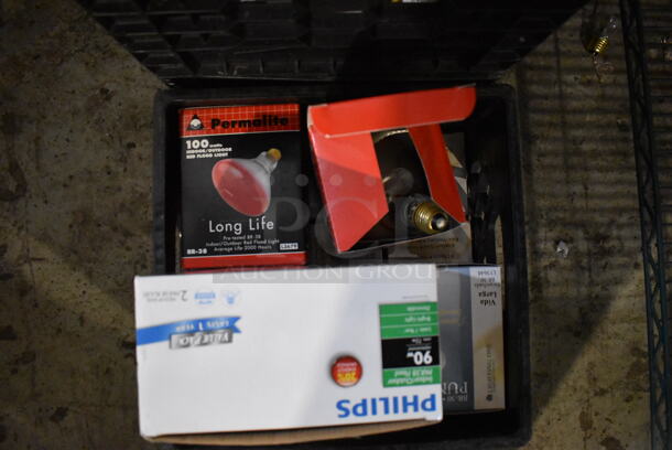 ALL ONE MONEY! Tier Lot of Various Warming Lamp Lightbulbs - Image 5 of 9