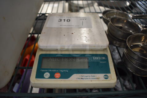 Taylor Model TE32FT Countertop Food Portioning Scale. 6x8x2