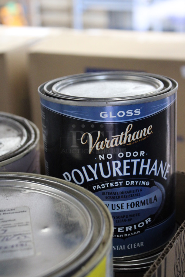 ALL ONE MONEY! Lot of Various Cans Including Paint and Polyurethane Interior.  - Image 6 of 6