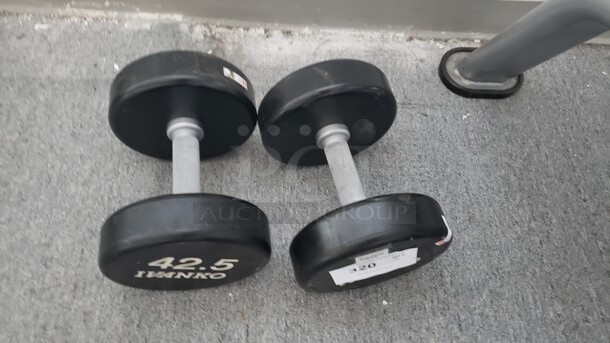 Set of 42.5lb Dumbbells 

(Location 2) - Image 1 of 1