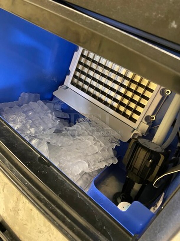 LATE MODEL! 2021 Commercial Undercounter Ice Maker Machine! All Stainless Steel! WORKING WHEN REMOVED! Model: ZBJ55KGZNL805501V1 SN: XSC09121497 110V - Image 5 of 8