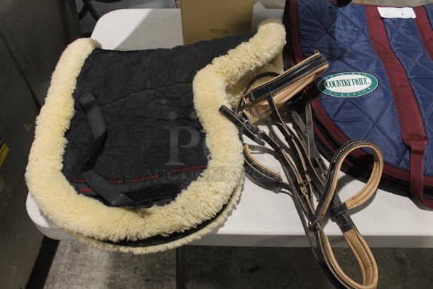 ALL ONE MONEY! Black Leather G Passier and Son PS-BAUM Size 17.5 Saddle, Lammfelle Saddle Pad w/ Case and Rhinestone Bridle and Logic Girth! - Image 2 of 12