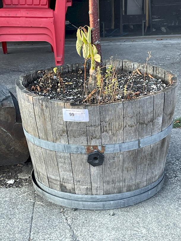 Ste Michelle Wine Estates Oak Wine 1/2 Barrel Planter - Image 2 of 2