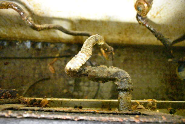 Rankin-Delux RDHP-21-C Stainless Steel Commercial Countertop Natural Gas Powered 2 Burner Range. This Unit Was In Working Condition When the Restaurant Closed. (kitchen) - Image 4 of 4