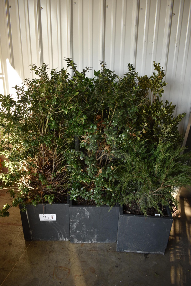 ALL ONE MONEY! Lot of 6 Various Fake Plants in Stone Planters! Includes 12x12x43 - Image 1 of 5