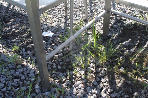 Stainless Steel Commercial Table w/ Mounted Commercial Can Opener and Back Splash. - Image 4 of 4