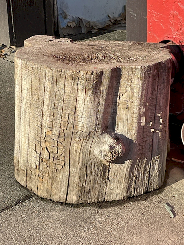 DECORATIVE Wooden Log.  - Image 1 of 1