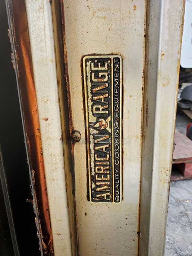 American Range Salamander  - Image 2 of 2