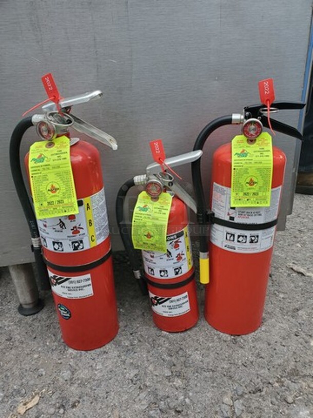 Fire Extinguisher BIDX3 - Image 2 of 5
