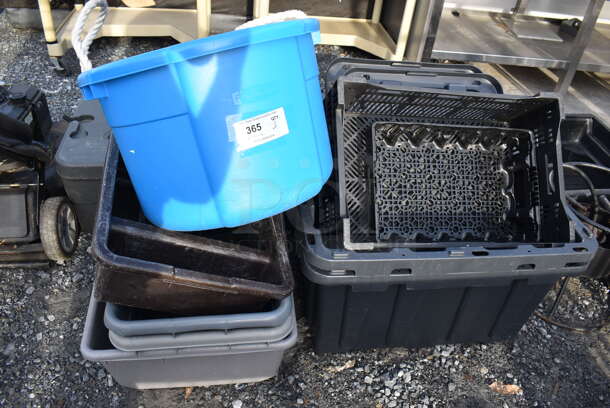 ALL ONE MONEY! Lot of Various Poly Bins - Image 1 of 7