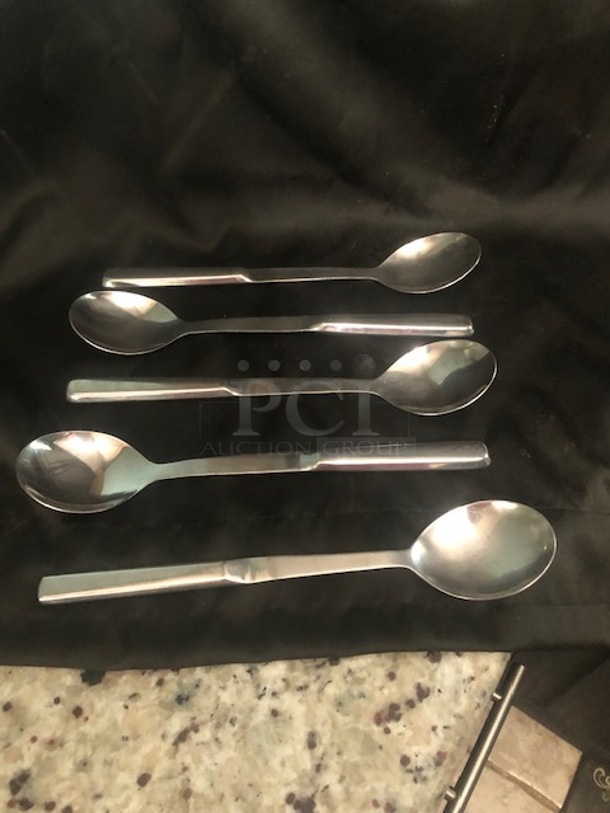 Stainless Steel Spoon. 5XBID