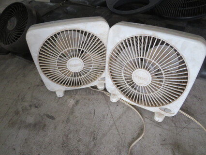 Assorted Fan. 2XBID