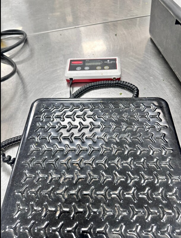 Rubbermaid 4010-88 Pelouze Digital Receiving Scale - 150 lb x 1/5 lb/60 kg x 1/10 kg 115 Volt - Image 5 of 6